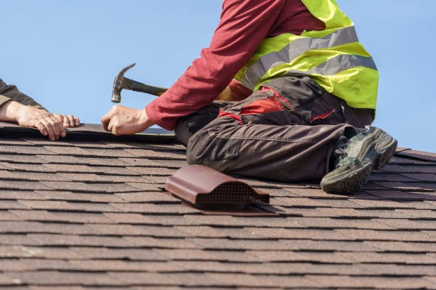 Best Metal Roofing Contractor  in Mercedes, TX