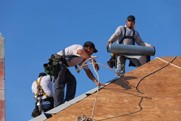 Best Commercial Roofing Services  in Mercedes, TX