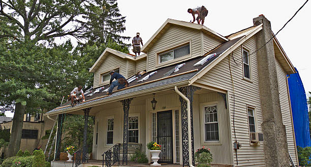 Best Local Roofing Companies  in Mercedes, TX