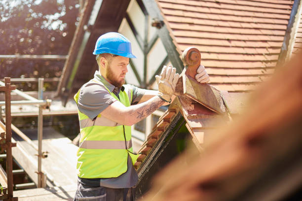Best New Roof Installation  in Mercedes, TX