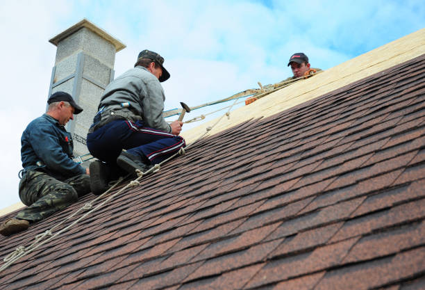 Best Gutter Installation and Roofing  in Mercedes, TX