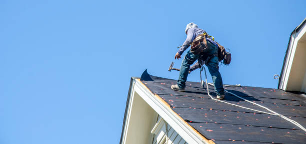 Best Shingle Roofing Installation  in Mercedes, TX